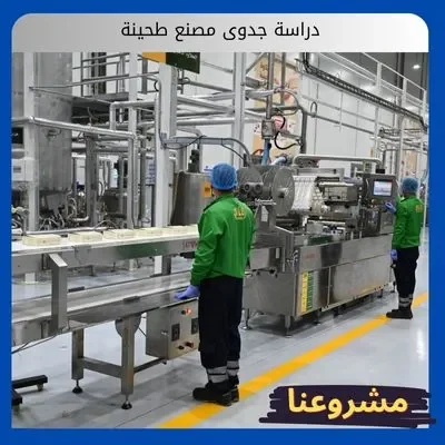 دراسة جدوى مصنع طحينة