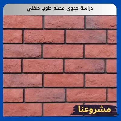 دراسة جدوى مصنع طوب طفلي دراسة جدوى مصنع طوب طفلي