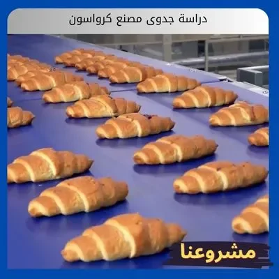 دراسة جدوى مصنع كرواسون دراسة جدوى مصنع كرواسون