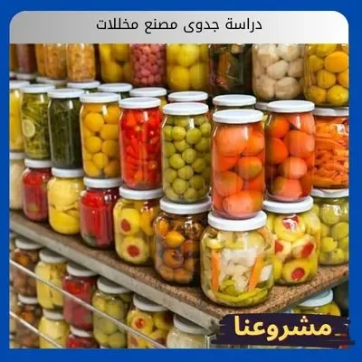 دراسة جدوى مصنع مخللات: متطلبات بسيطة وأرباح عالية دراسة جدوى مصنع مخللات