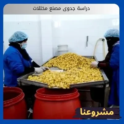 دراسة جدوى مصنع مخللات دراسة جدوى مصنع مخللات