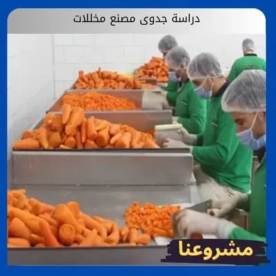 دراسة جدوى مصنع مخللات دراسة جدوى مصنع مخللات