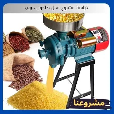 دراسة مشروع محل طاحون حبوب دراسة مشروع محل طاحون حبوب