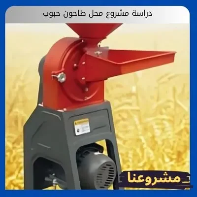 دراسة مشروع محل طاحون حبوب دراسة مشروع محل طاحون حبوب