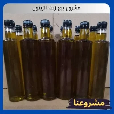 مشروع بيع زيت الزيتون