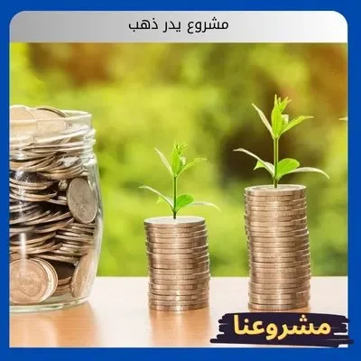 مشروع يدر ذهب مشروع يدر ذهب