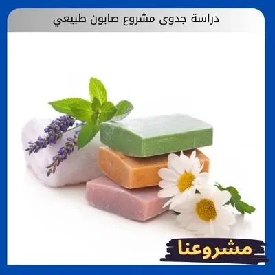 دراسة جدوى مشروع صابون طبيعي: استثمر في الصحة والجمال برأس مال مرن دراسة جدوى مشروع صابون طبيعي