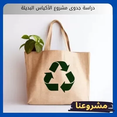دراسة جدوى مشروع الأكياس البديلة
