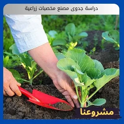 دراسة جدوى مصنع مخصبات زراعية