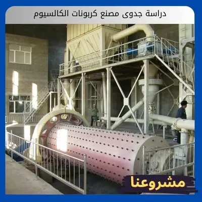 دراسة جدوى مصنع كربونات الكالسيوم