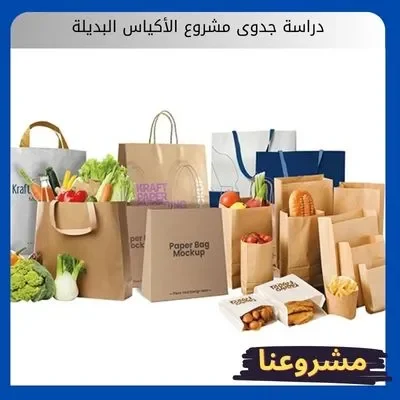 دراسة جدوى مشروع الأكياس البديلة