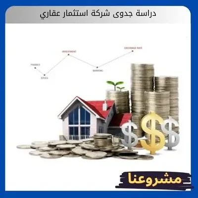 دراسة جدوى شركة استثمار عقاري دراسة جدوى شركة استثمار عقاري