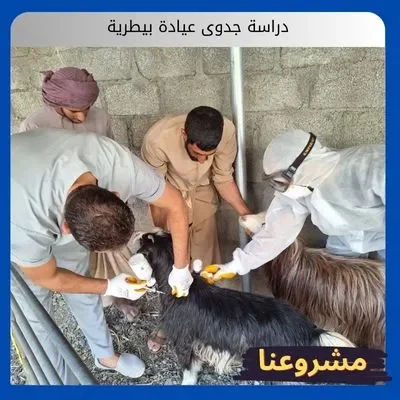 دراسة جدوى عيادة بيطرية دراسة جدوى عيادة بيطرية