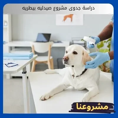 دراسة جدوى مشروع صيدليه بيطريه