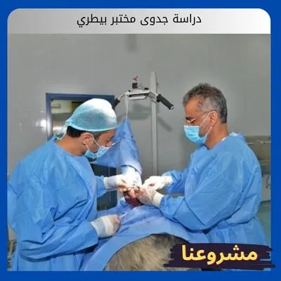 دراسة جدوى مختبر بيطري