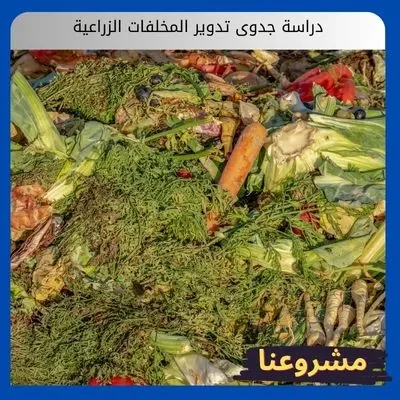 دراسة جدوى تدوير المخلفات الزراعية