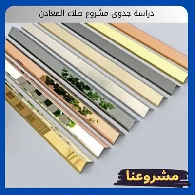 دراسة جدوى مشروع طلاء المعادن