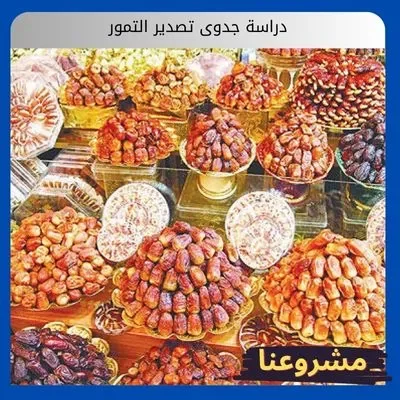 دراسة جدوى تصدير التمور دراسة جدوى تصدير التمور