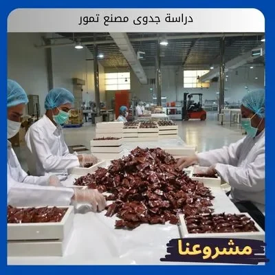 دراسة جدوى مصنع تمور