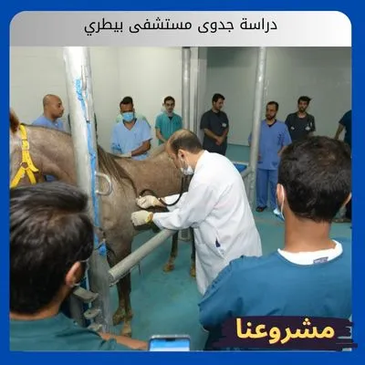 دراسة جدوى مستشفى بيطري دراسة جدوى مستشفى بيطري