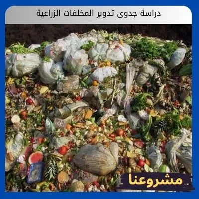 دراسة جدوى تدوير المخلفات الزراعية