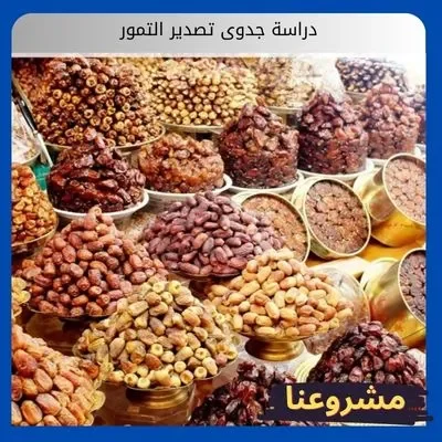 دراسة جدوى تصدير التمور: دليلك الشامل لفتح آفاق الأسواق العالمية دراسة جدوى تصدير التمور