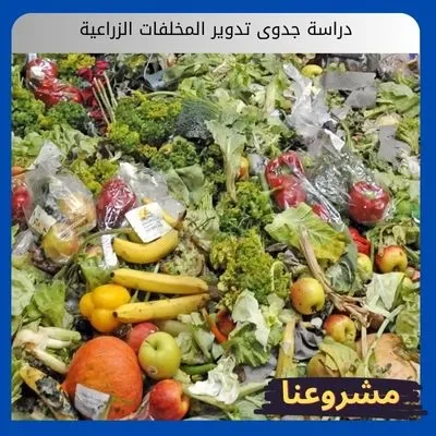 دراسة جدوى تدوير المخلفات الزراعية