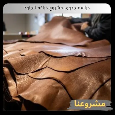 دراسة جدوى مشروع دباغة الجلود