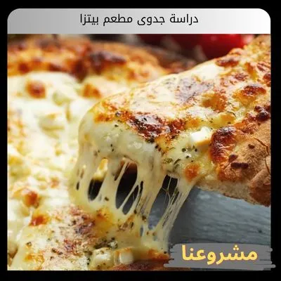 دراسة جدوى مطعم بيتزا