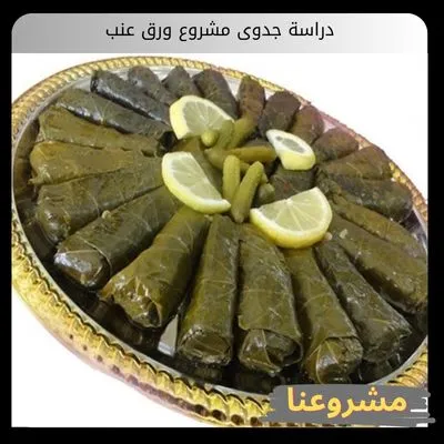 دراسة جدوى مشروع ورق عنب: دليلك الاستثماري لصناعة براند غذائي رابح بالسعودية دراسة جدوى مشروع ورق عنب