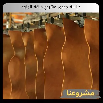 دراسة جدوى مشروع دباغة الجلود