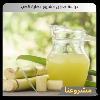 دراسة جدوى مشروع عصارة قصب