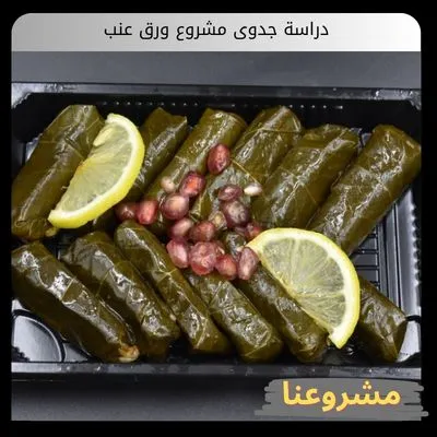 دراسة جدوى مشروع ورق عنب دراسة جدوى مشروع ورق عنب