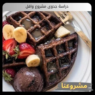 دراسة جدوى مشروع وافل