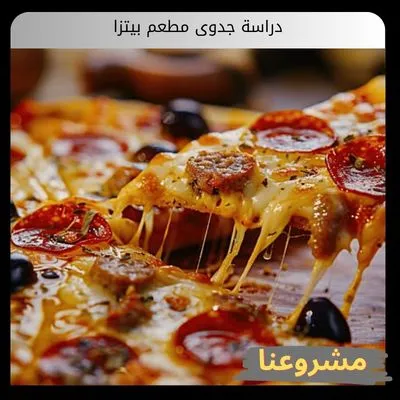 دراسة جدوى مطعم بيتزا