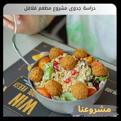 دراسة جدوى مشروع مطعم فلافل دراسة جدوى مشروع مطعم فلافل