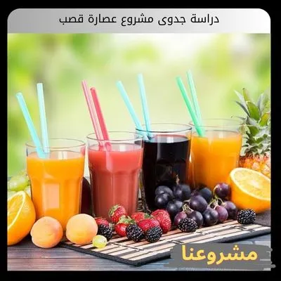 دراسة جدوى مشروع عصارة قصب