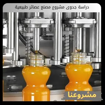 دراسة جدوى مشروع مصنع عصائر طبيعية دراسة جدوى مشروع مصنع عصائر طبيعية