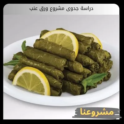 دراسة جدوى مشروع ورق عنب دراسة جدوى مشروع ورق عنب