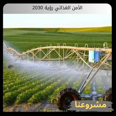 الأمن الغذائي رؤية 2030