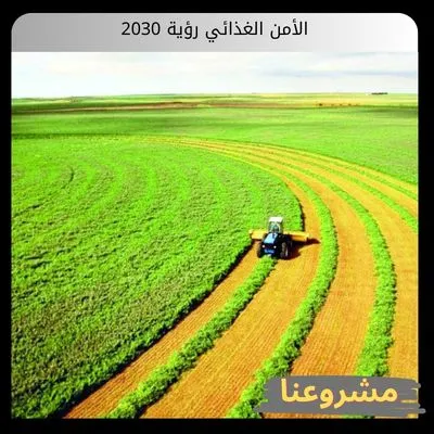 الأمن الغذائي رؤية 2030
