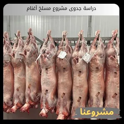 دراسة جدوى مشروع مسلخ أغنام