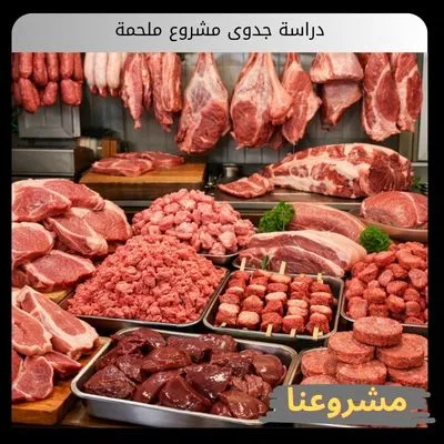 دراسة جدوى مشروع ملحمة