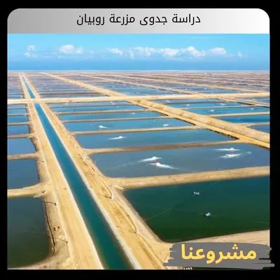 دراسة جدوى مزرعة روبيان