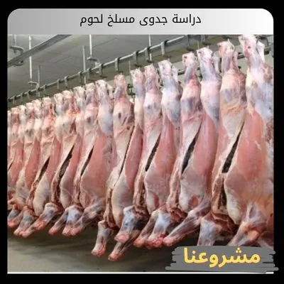 دراسة جدوى مسلخ لحوم