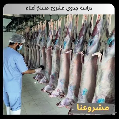 دراسة جدوى مشروع مسلخ أغنام