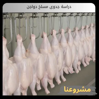 دراسة جدوى مسلخ دواجن