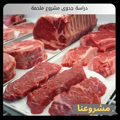 دراسة جدوى مشروع ملحمة