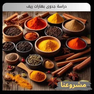 دراسة جدوى بهارات ريف