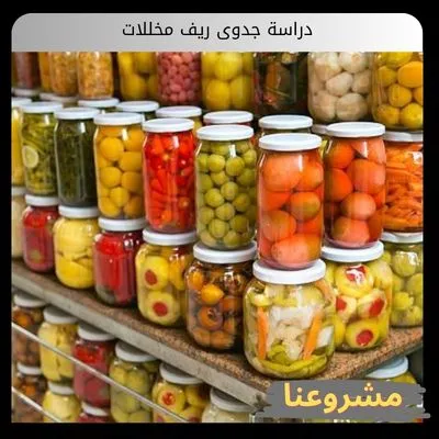 دراسة جدوى ريف مخللات